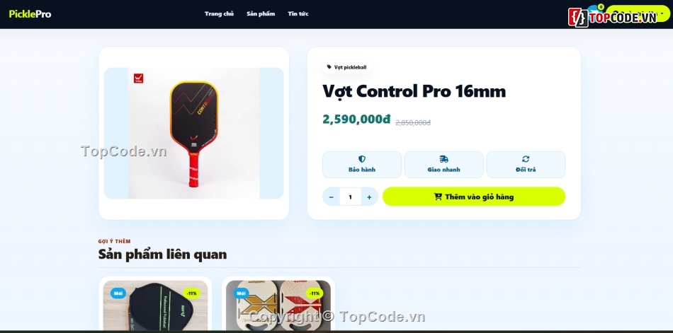 website đẹp,bán pickerball,dụng cụ pickerball